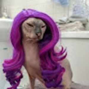 Meet your Posher, Leila